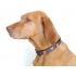 Happy Halsband "My Happy Vizsla" L (41-65 cm)